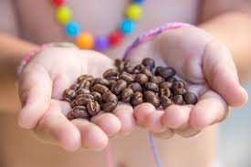 We did not find results for: Coffee Culture In Indonesia Where To Find The Best Coffee