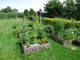 Check spelling or type a new query. Lasagna Bed Ou Pourquoi J Ai Mis Des Lasagnes Dans Mon Potager Le Jardin D Une Gourmande Paresseuse Vegetable Garden Raised Beds Raised Garden Raised Garden Beds Diy