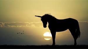 Image result for unicorn sunset