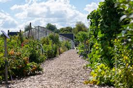 Aalsmeer 14 day extended forecast. Historical Garden Aalsmeer History Of Flowers Visit Aalsmeer