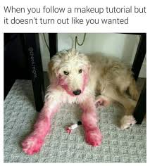 If you're more this visualize 159 best clean animal memes images on pinterest is taken from : Brighten Up Your Quarantine With These Funny Animal Memes Film Daily