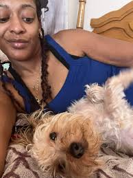 Yorkie owners, be honest—what are the downsides of having one? 🤔