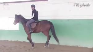 Taehyung Is Amazing At Horse Riding He Learned Horse Riding During Hwarang And Is A Proud Learner Bts Bangtanboys J Horse Riding Horses Taehyung