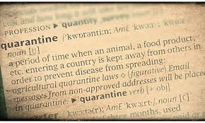 A pandemic is like a mass murderer that could wipe out most of humanity in a short period of time. Pandemic Quarantine Vaccine What Are The Origins Of The Normalised Vocabulary Under Covid 19 Prism Dawn Com