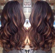 The dark brown hair color with light auburn highlights is simply superb. Dark Brown Hair With Caramel Lowlights Cool Hair Color Hair Styles Long Hair Styles