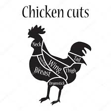 chicken cuts chart chicken cuts vector stock vector