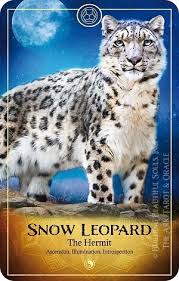 Spirit Animalscopes For November 2019 What Is My Spirit Animal Spirit Totem Power Animals Animal Tarot Spirit Animal Animals