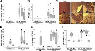 This material is provided for educational purposes only and is not intended for medical advice, diagnosis or treatment. Lipolysis Of Visceral Adipocyte Triglyceride By Pancreatic Lipases Converts Mild Acute Pancreatitis To Severe Pancreatitis Independent Of Necrosis And Inflammation Sciencedirect