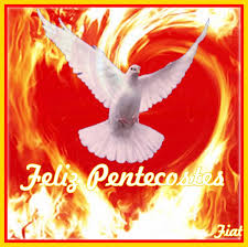 A origem dessa festa é para nós cristãos, a comemoração do pentecostes é marcada pela narrativa no livro dos atos dos. Imgs App Pentecostes Mensagens Imagens E Frases 6044