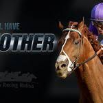Maybe you would like to learn more about one of these? Horse Racing Nation Hrnation Profile Pinterest