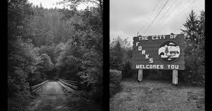 Forks, also previously known as the unincorporated town of quillayute, is a city in southwest clallam county, washington, united states. The True Story Of The Antifa Invasion Of Forks Washington Wired