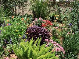 Maybe you would like to learn more about one of these? 12 Plants That Thrive In The Sun How To Make A Beautiful South Florida Flowerbed Dengarden