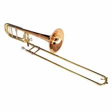 Image result for Viscum shirense