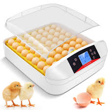 Amazon.com: Egg Incubator, Incubators for Hatching Eggs with Fully  Automatic Turning and Humidity Control, 90W Digital Clear Chicken Duck Egg  Incubator (Yellow) : Industrial & Scientific