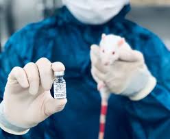 Personal del sector salud de primera línea de control de. Coronavirus China Aprueba Una Vacuna Experimental Contra La Covid Para Su Uso Militar Ciencia El Pais