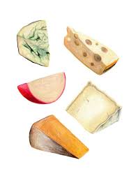 Pin By Samanyas On Food Illustration Cheese Art Food Illustrations Food Painting