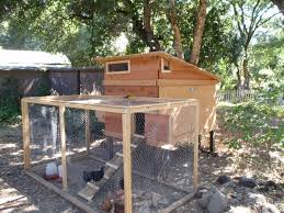 This ensures the birds plenty of room to scratch and move around in the fresh air. Chicken Coops The Top 5 Requirements