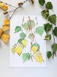 Birch Tree Art Print A5 10x8 A4 14x11 A3 Botanical Wall Etsy Birch Tree Art Botanical Wall Art Tree Art