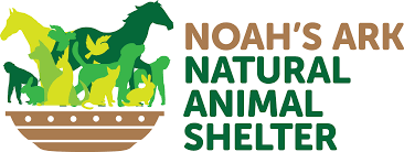 You will get a response either way telling you the status of your app. Volunteer Noah S Ark Natural Animal Shelter