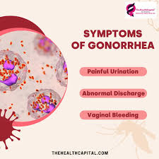 Image result for gonorrhea symptoms