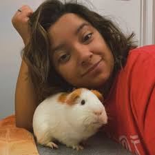 Veterinarian In Rockport, TX 78382