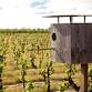 Harney Lane Vineyards Dinner at Vintner’s Table event image