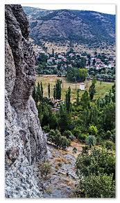 Over the past 40 years at my house, i have noticed changes in the wildlife, migration and environment. Nature Vscocam Green Yesil Life Cool Vscogood Amaz Flickr