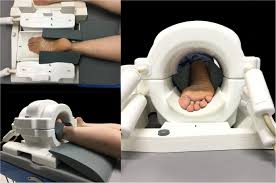 12 photos of the foot muscle anatomy mri. New Insights Into Intrinsic Foot Muscle Morphology And Composition Using Ultra High Field 7 Tesla Magnetic Resonance Imaging Bmc Musculoskeletal Disorders Full Text