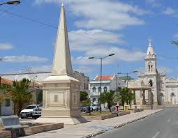 Resultado de imagem para picui imagens