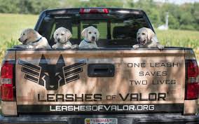 These pups are in richmond, virginia too! These Lab Puppies Have A Mission They Ll Become Service Dogs For Veterans 8news