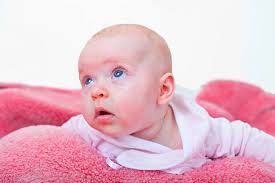 20+ Terry Me Stock Photos, Pictures & Royalty-Free Images