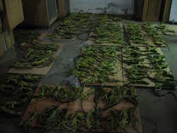 Maybe you would like to learn more about one of these? Do You Know How Many Animals Die Before They Reach Pet Stores Graphic Peta