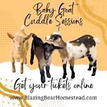 Baby Goat Cuddle Sessions