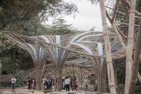 Image result for bamboo structures
