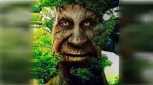 10 hours of Wise Mystical Tree SLOWED + REVERB - YouTube