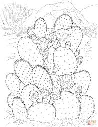 Pin On Watercolor Art