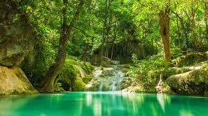 Maybe you would like to learn more about one of these? Wallpaper Beautiful Forest Lake Forest Wallpaper 1440p 3840x2160 Wallpaper Teahub Io