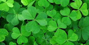 Patrick, considered the patron saint of ireland, was actually born in banna venta berniae, a town in roman britain, sometime in the late 300s ad. St Patrick S Day Around The World In 2021 Office Holidays