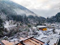 Sandakphu phalut trek in autumn (september end to november). A Journey Amidst The Four Big Mountains Sandakphu Phalut Under 8k Travelgoal Tripoto