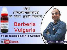 Uses Of Berberis Vulgaris In Kidney Stone Best Medicine For Kidney Stone Youtube Medicine Kidney Stones Homeopathic