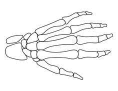 If you're purchasing these for skateboarding purposes, just make sure you look for the new checkerboard flag on the side. 19 Skeleton Hands Ideas Drawings How To Draw Hands Skeleton Hands