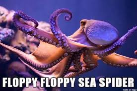 Pin On Octopus Things