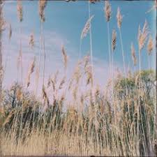 Britzer Garten Neukolln Berlin Germany Natural Landmarks Travel Nature