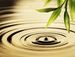 Αποτέλεσμα εικόνας για therapy