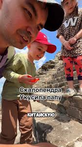 Угадай Повара Мотивация