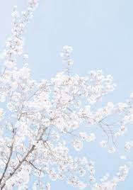 53 Ideas Wall Paper Iphone White Bright Baby Blue Aesthetic Aesthetic Pastel Wallpaper Pastel Background