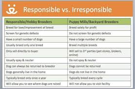 Many breeders will call you a backyard breeder if all your dogs are not a direct product of champion lines. This Is The Difference Between A Technicoat Labradors Facebook