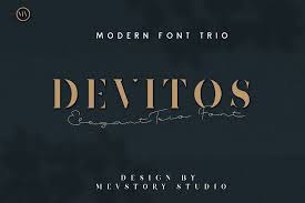 When you are writing your resume, the font might seem like the least of your worries. Devitos Modern In 2020 Elegant Serif Fonts Serif Fonts Best Free Fonts