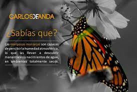 Pin En Contenido De Valor