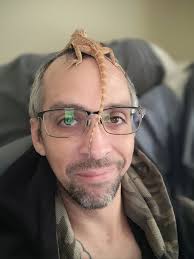 What type of dragon is the misc. assorted one?